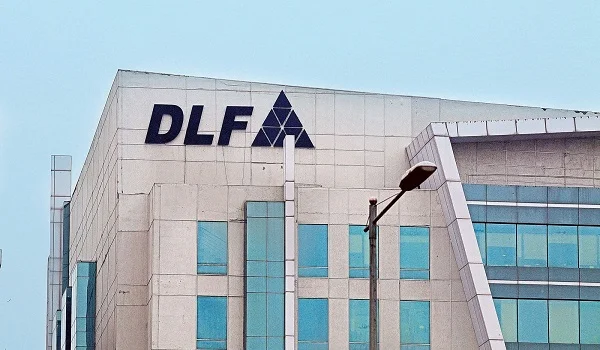 DLF