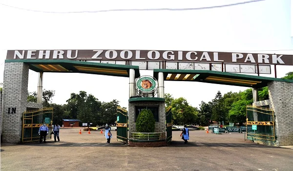 Featured Image of The Nehru Zoological Park